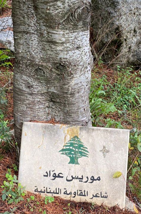 Maurice Awwad m