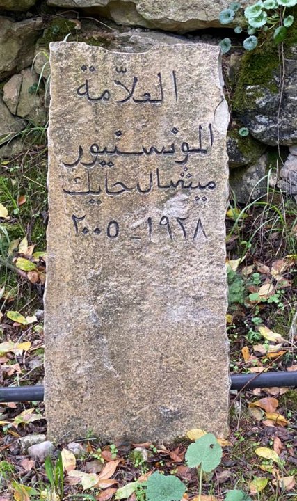 Michel Hayek m