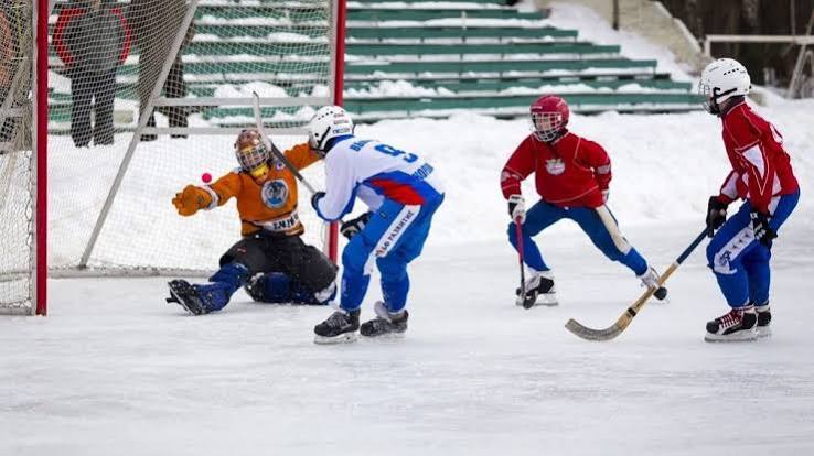 An Overview to Betting on Bandy